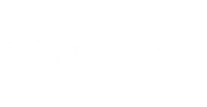 partners who work with BETVIBE